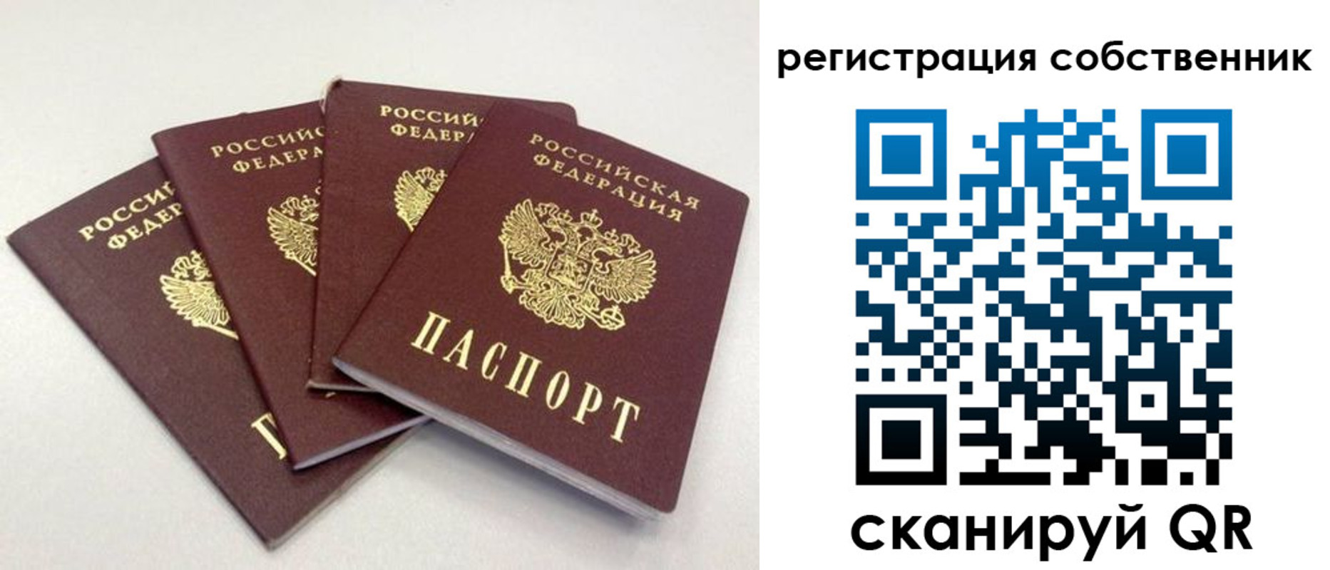 прописка для школы в Нововоронеже